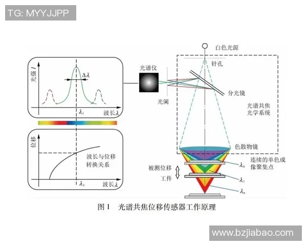 NBA球队新秀球员培养体系与案例研究